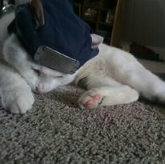 Custom Cosplay - Picture 6 of 8